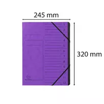 Exacompta Besiplečiantis Dokumentų Segtuvas 12 Skyrių Violetinė Colorspan