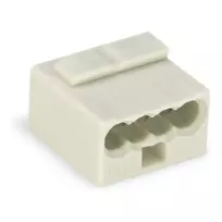 WAGO 243-304 PUSH WIRE® 2-jungčių laidų jungtis 100V 24A permatoma