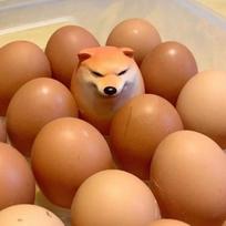 Creative Dog Shiba Inu Egg Squishy Toy, Funny Squeeze Stress Relief, Meme Egg Decompression Prop United States