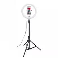 CELLY Ring Professional Tripod with Light - 160cm, 10 inch LED Ring Light, USB Powered, Black