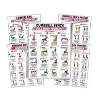 Beginner Home Workout 5 Pcs Dumbbell Poster Set, Full Body Exercise Charts Set for Back, Waist Slimming Exercises Core, Arm, Glutes Legs, Strength 5pcs gray
