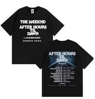 The Weeknd After Hours Til Dawn Europa 2026 Stadiono T-shirt M gray