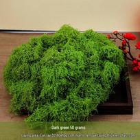 Dirbtinė samanų veja kraštovaizdžiui ir bonsai dekoravimui green