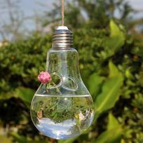 Plant Glass Bulb Shape Hydroponic Container Terrarium Retro Country Flower Pot Home Decoration Succulent vase (openings)#1