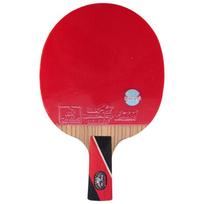 DOUBLE FISH Professional 8-Star Carbon Table Tennis Racket