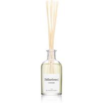 The Olphactory Hilarious Cannabis Fragrance Sticks Aroma Reed Diffuser, 100 ml