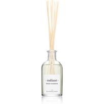 The Olphactory Radiant Spiced Tangerine Fragrance Sticks Aroma Reed Diffuser, 100 ml