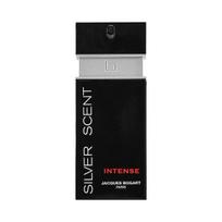 Jacques Bogart Silver Scent Intense EDT tualetinis vanduo vyrams, 200 ml