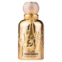 Auraa Desire Cedar Paradise PP kvepalai vyrams, 100 ml