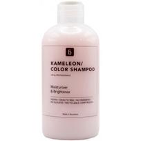Blautty Moisturizer & Brightener Shampoo šampūnas dažytiems plaukams su juodųjų serbentų aliejumi, 250 ml