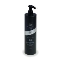 DSD Deluxe 5.3 Dixidox de Luxe Steel and Silk Treatment Mask atkuriamoji kaukė pažeistiems plaukams su šilku, 500 ml