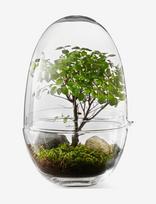 Design House Stockholm - Grow Greenhouse  Large - Didelė vaza - Nude