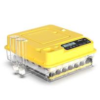 Automatinis kiaušinių inkubatorius: 24-288 kiaušinių talpa, automatinis vandens papildymas ir vieno mygtuko kiaušinių tikrinimas 24 Eggs Set TW-24
