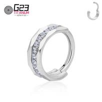 1/10PCS Wholesale G23 Titanium Piercing Nose Ring Round Hinged Segment Hoop Clicker Ear Cartilage Tragus Piercing Body Jewelry 16G 1.2x8mm