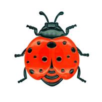 1/3 vnt. Geležinės bitės, boružėlės, drugeliai Sienų dekoras Spalvingas sodo dekoravimas Lauko, vidaus metalo amatas Ryškūs namų baldai ladybug