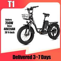 PHILODO Electric Bicycle 750W Motor 48V20AH Lithium Battery Hydraulic Disc Brake All-terrain E-bike Adult 20*4.0 Fat Tire Electric Bike 750W 48V20AH