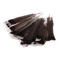 Project Collection Natural Wild Turkey Tails Feathers 8-10inch Feathers Natural Quill Feathers Black DIY Crafts gray