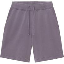 Carhartt WIP FW26 Hoggard Sweat Shorts Women shorts I036838-3RI-GD S