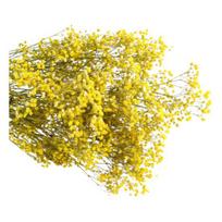 Aeonium puokštė džiovintos gėlės Ryškios spalvos Neblunkanti Lengva priežiūra Natūrali džiovinta Gypsophila Valentino dienos dekoravimo scena geltona