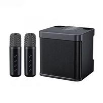 Dual Microphone Karaoke Machine for Adults and Kids Portable Bluetooth Speaker System with 2 Wireless Microphones for Home juoda