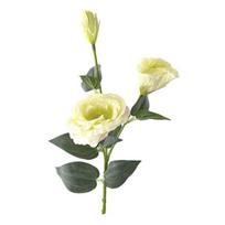 3 galvos dirbtinių gėlių puokštė, dirbtinio šilko eustoma (lisianthus) su ilgu kotu, netikra gėlių kompozicija pasidaryk pats vestuvių puokštei beige