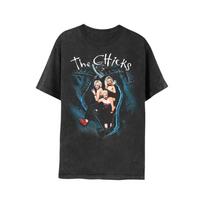 Dixie Chicks Fly  The Chicks TShirt For Fan Men and Women All Size Unisex T-Shirt XXXXL