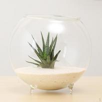Vase Table Micro Landscape Terrarium Pot Container A gray