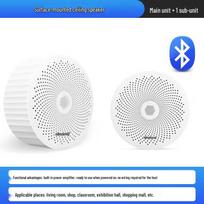 QIASHENG Wireless Bluetooth Surface-Mounted Ceiling Speaker Kit CN plug (adapter included)