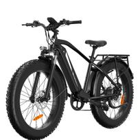 Bodywel D6 26 inch Snow Electric Bicycle 750W Motor 120KM Max Range Electric Bike 26 Inch Off-Road Tires E-Bike For Adult