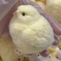 Kids  Childrens Cute Fluffy Chick Squishy Toy, Slow Rising Stress Relief Squeeze Toy for Adults Office geltona