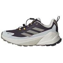 (WMNS) adidas x National Geographic Terrex Trailmaker 2 Gore-Tex 'Aurora Black Beige' Women's JP7065 EU 38
