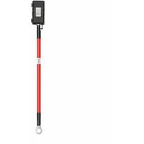 EcoFlow alternator charger fuse cable | EFL-AltCharFusCab | 4895251629003