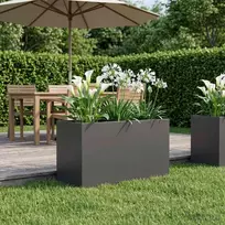 Sodo vazonas Juoda 100 x 50 x 50 cm Šaltai valcuotas plienas