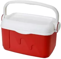Curver 175772 Raudona Portable Cool Box, 10 L