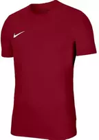 Nike Dri-Fit Park VIII Vyriški marškinėliai Bordo HV8173 677