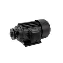 Variklis oro kompresoriui ST2200-100 2.2kW