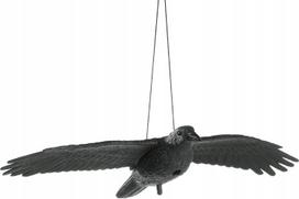 Paukščių baidyklė varna XXL 55 cm