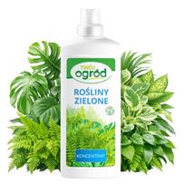 Skystos trąšos žaliems augalams Monstery Zamiokulkasa Fikusa Paparčio 500ml