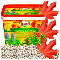 Rudeninės trąšos spygliuočiams Florovit, 4 kg