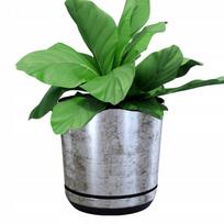 Puodų padėkliukas 18 cm OLD SILVER, akmens efekto
