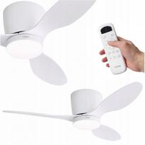 Lubų ventiliatorius su LED lempa EBERG ARX 106 cm, 3 mentės, tylus, su pulteliu