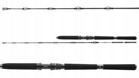 Jūrinė meškerė DAIWA BG DEEP SEA 175/100-300g