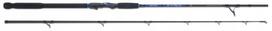 Jūrinė meškerė Aquantic Sea Salt Shad 2 Halibut Spin 2,25 m 220 g