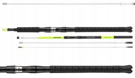 Jūrinė meškerė DAIWA SEALINE X TREME ITERLINE 225/100-250g