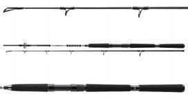 Jūrinė meškerė DAIWA BG Offshore Boat 240/150-400g