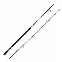 Meškerė Daiwa BG Boat 2.10m 150-400g