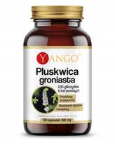 Maumedžio ekstruaktas limfai, 90 kaps.