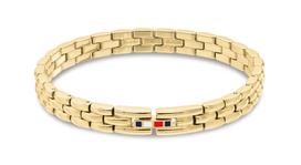 Moteriškas Papuošalai TOMMY HILFIGER 2781088