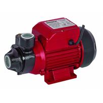 Vandens siurblys RAIDER RD-WP60, įsiurbimo gylis 8 m, kėlimo aukštis 35 m, našumas 40 l/min, galia 5