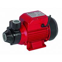 Vandens siurblys RAIDER RD-PK60,  įsiurbimo gylis 8 m, kėlimo aukštis 35 m, našumas 35 l/min, galia